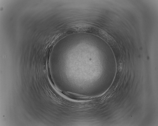 X0000074341108200609011621