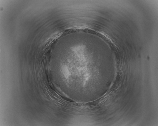 X0000074341110200609011621