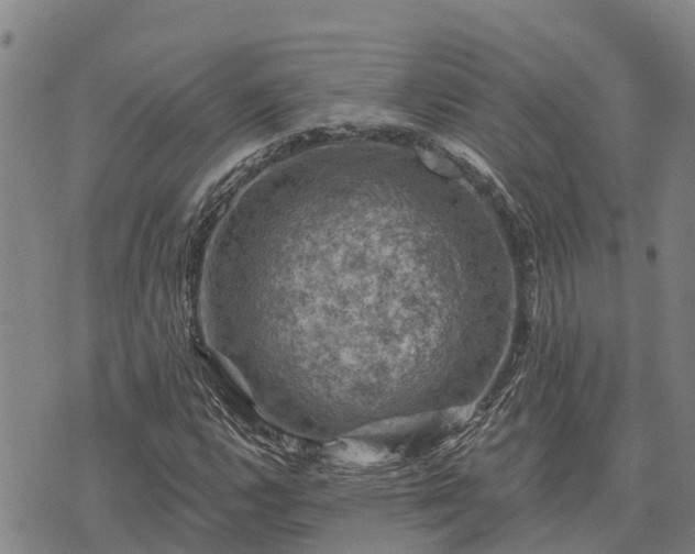 X0000074341112200609011621