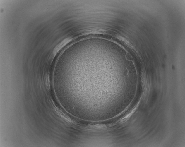 X0000074341113200609011621