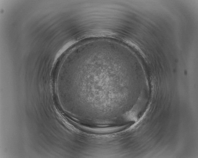 X0000074341114200609011621