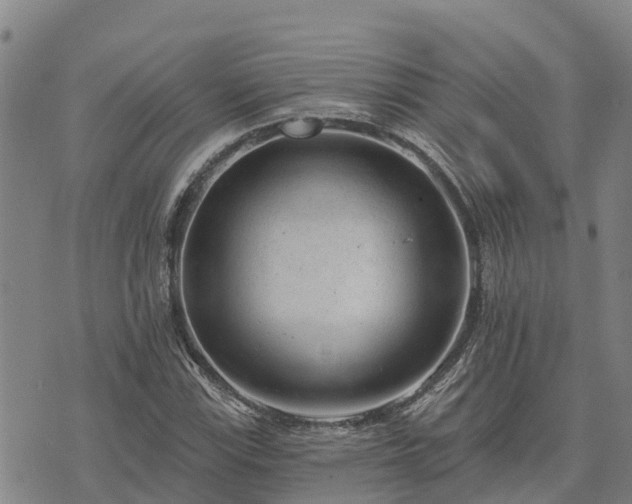 X0000074341115200609011621