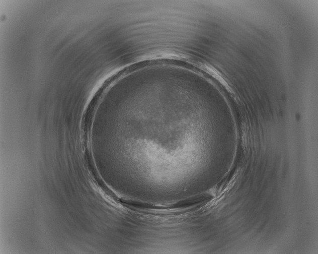 X0000074341116200609011621