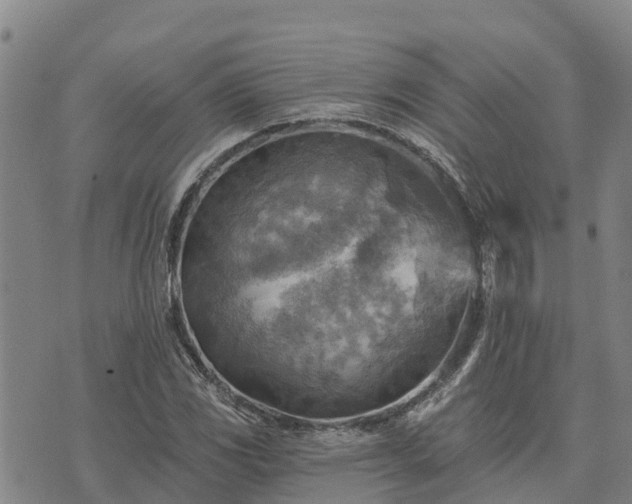 X0000074341117200609011621