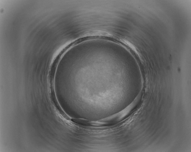 X0000074341120200609011621