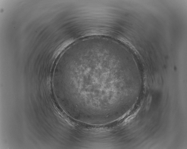 X0000074341121200609011621