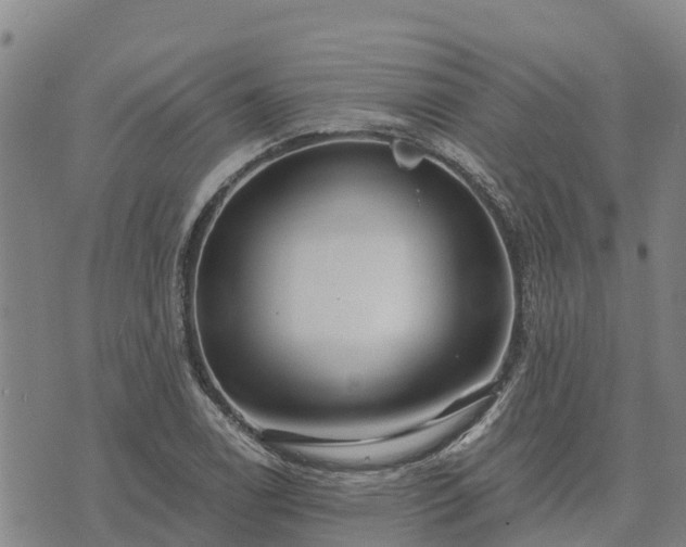 X0000074341122200609011621