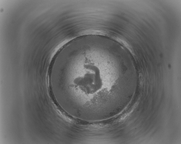 X0000074341125200609011621