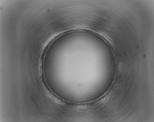 X0000074341126200609011621