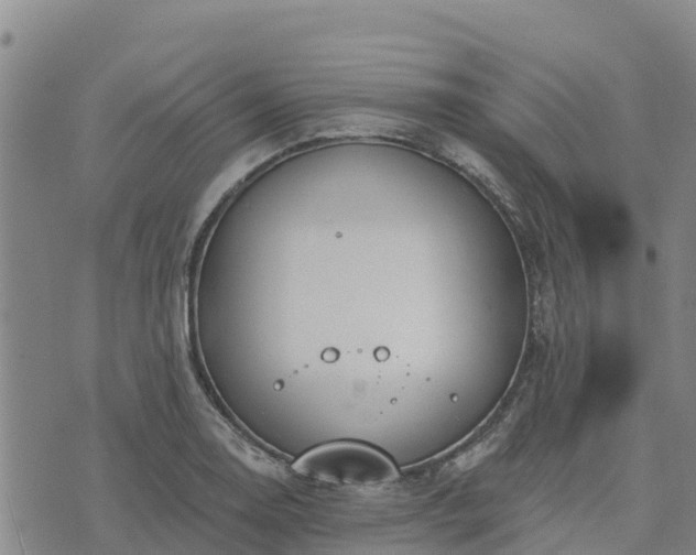 X0000074341130200609011621