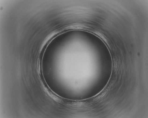 X0000074341131200609011621