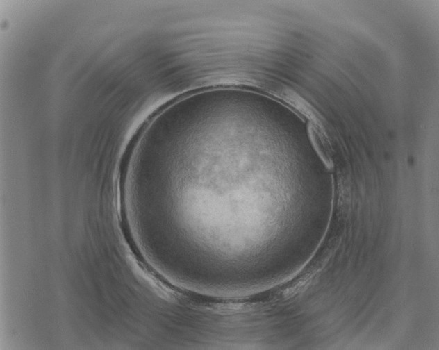 X0000074341132200609011621