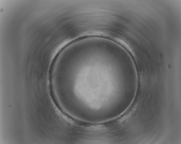 X0000074341133200609011621