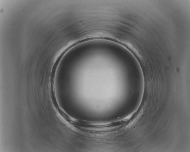 X0000074341134200609011621