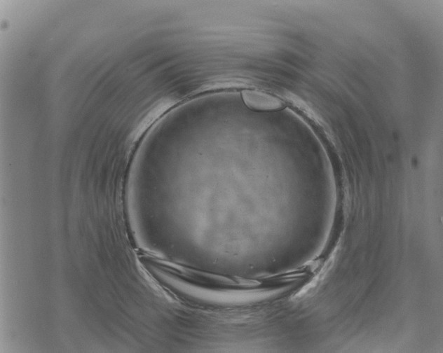 X0000074341137200609011621