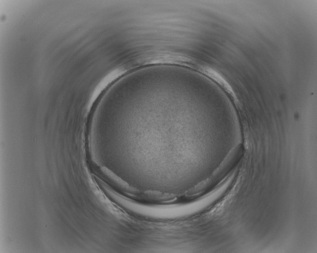 X0000074341138200609011621