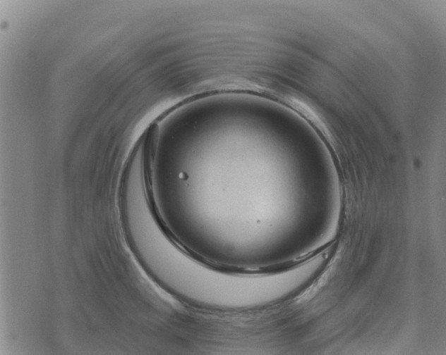 X0000074341141200609011621