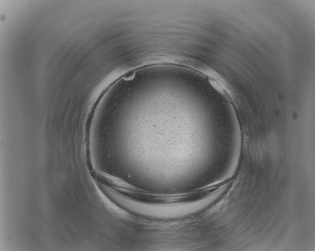 X0000074341143200609011621