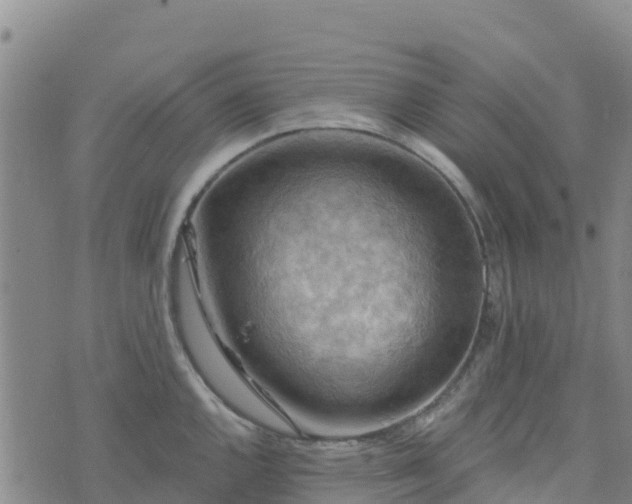 X0000074341144200609011621