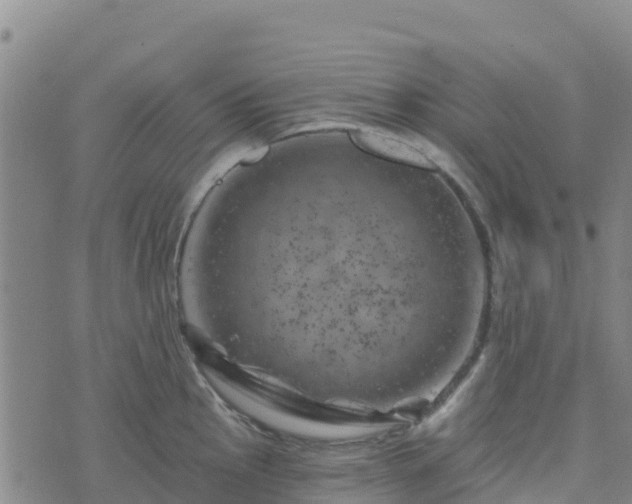 X0000074341145200609011621