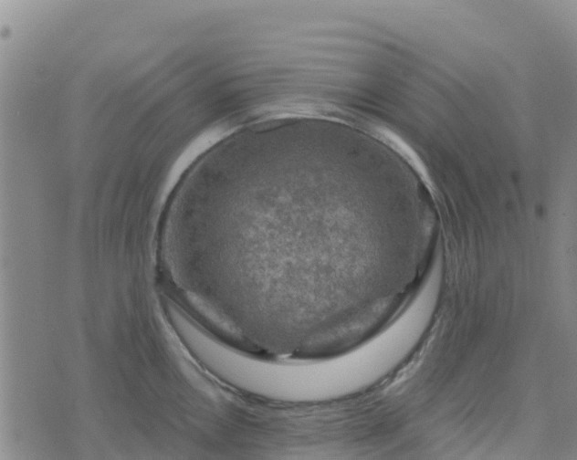 X0000074341146200609011621