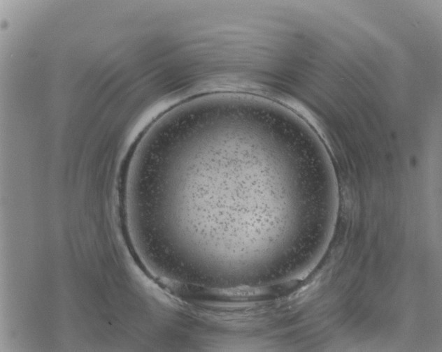 X0000074341147200609011621