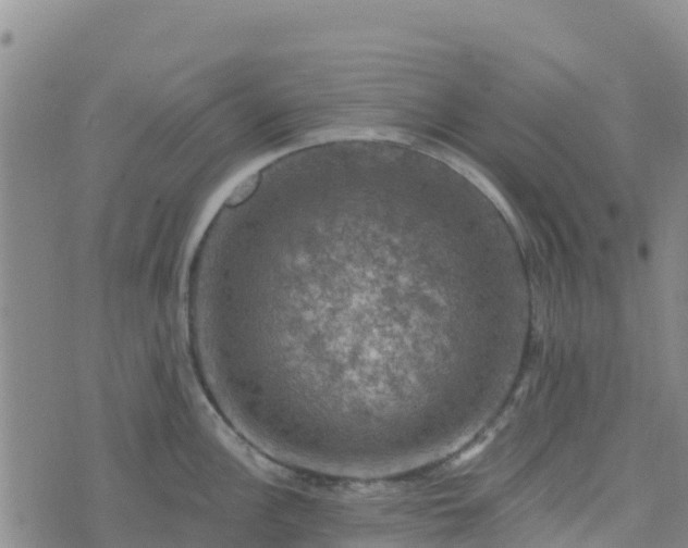 X0000074341148200609011621