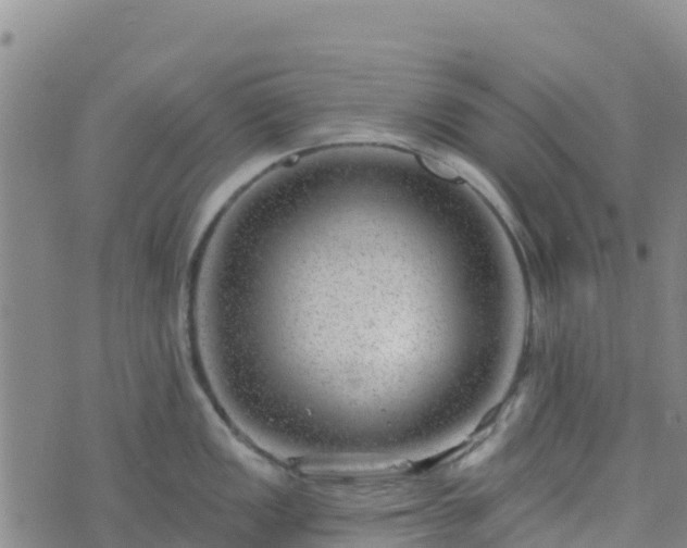 X0000074341149200609011621