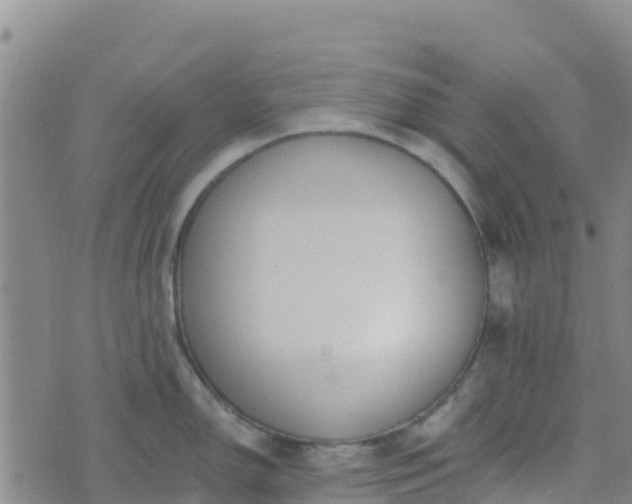 X0000074341150200609011621