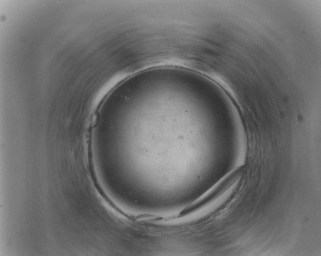 X0000074341151200609011621