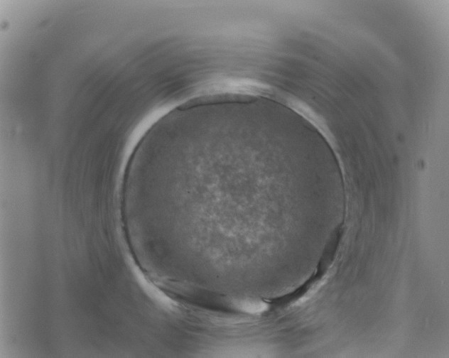 X0000074341152200609011621