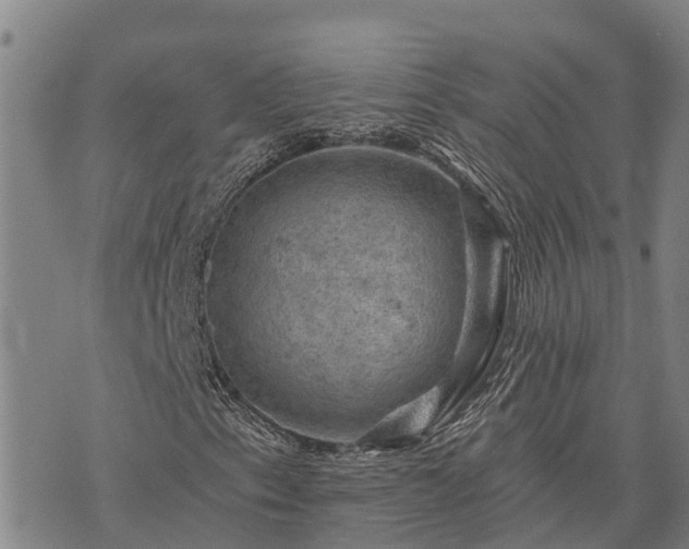 X0000074341153200609011621