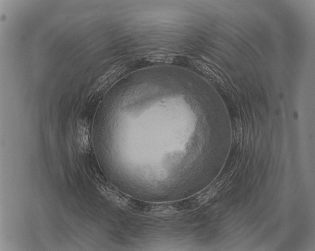 X0000074341154200609011621