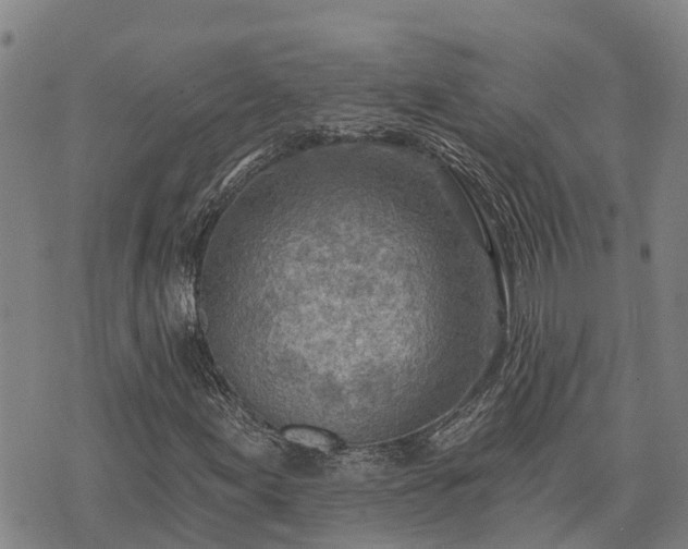 X0000074341155200609011621