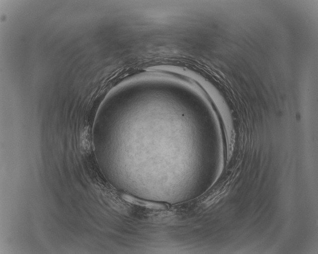 X0000074341156200609011621