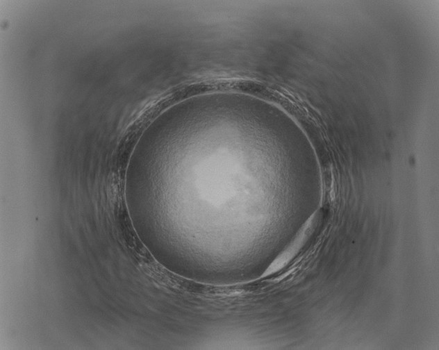 X0000074341157200609011621