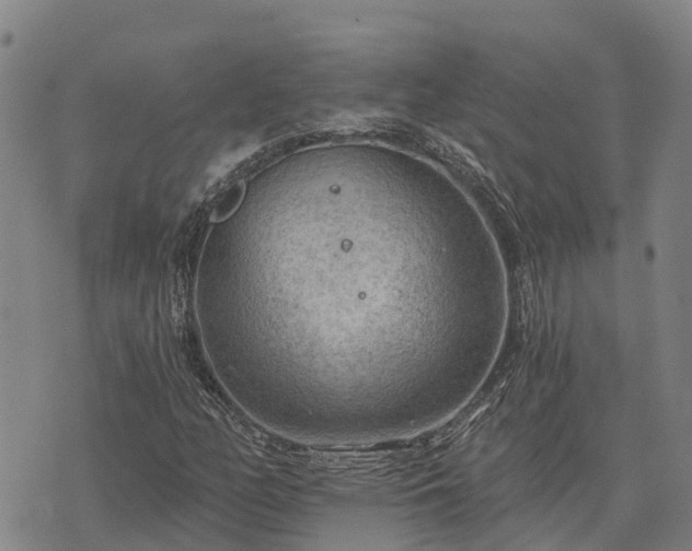 X0000074341158200609011621