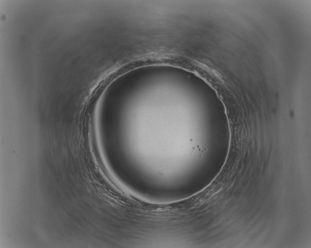 X0000074341160200609011621