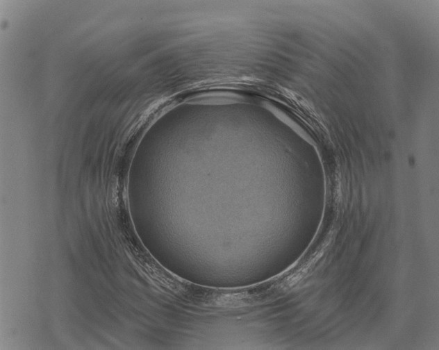 X0000074341161200609011620