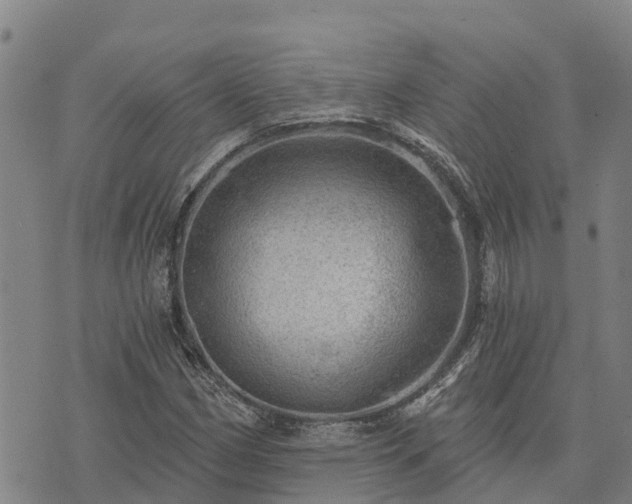 X0000074341162200609011620