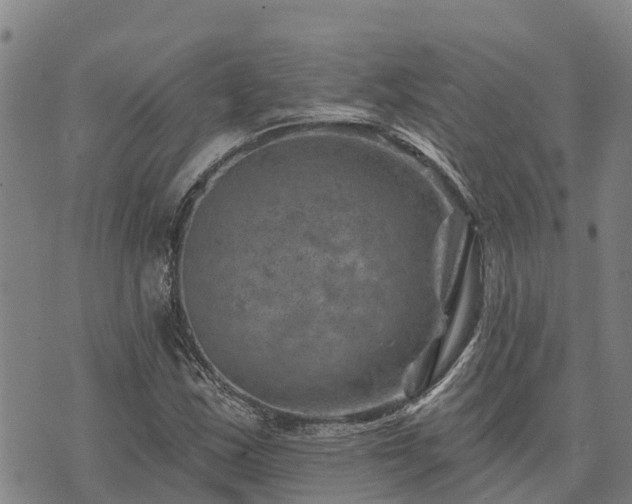 X0000074341163200609011620