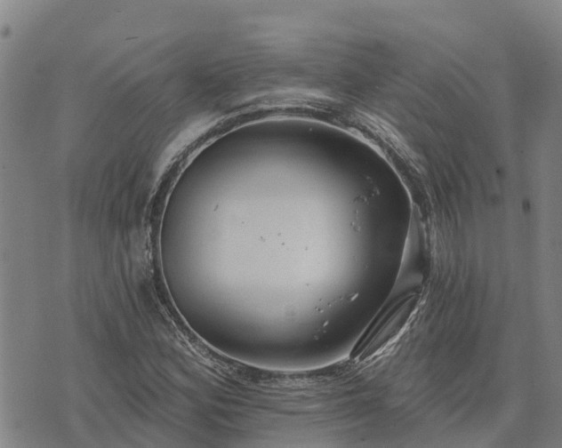 X0000074341164200609011620