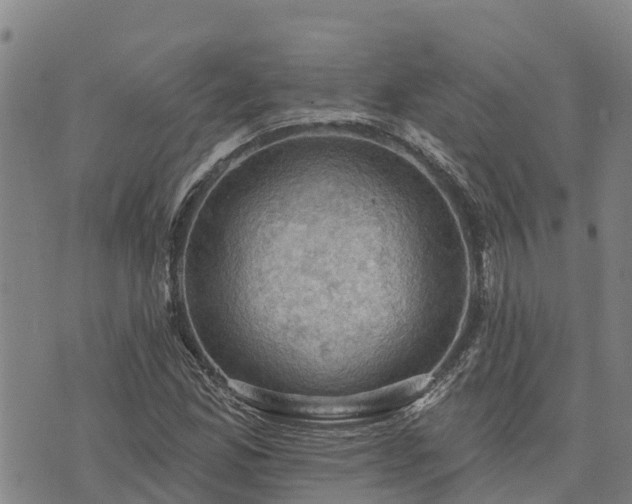 X0000074341165200609011620