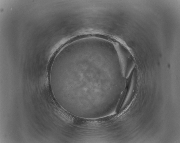 X0000074341167200609011620