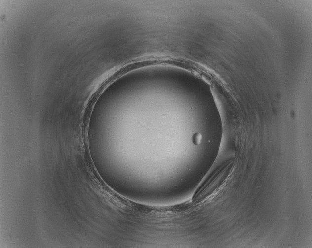 X0000074341168200609011620