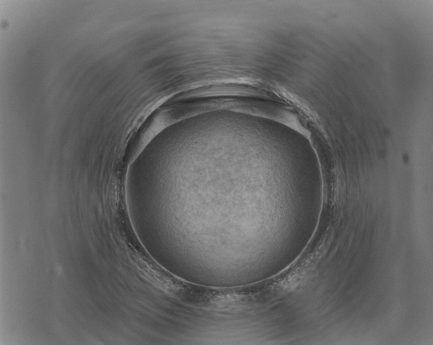 X0000074341169200609011620