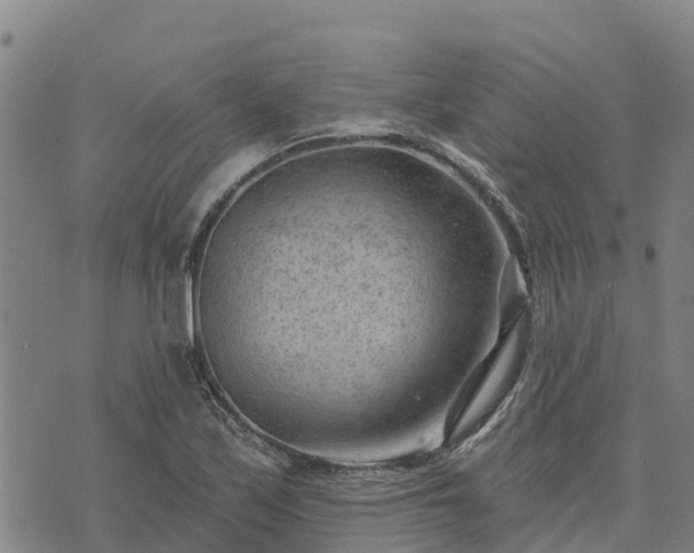 X0000074341171200609011620