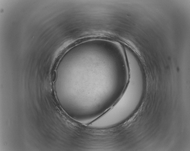 X0000074341172200609011620