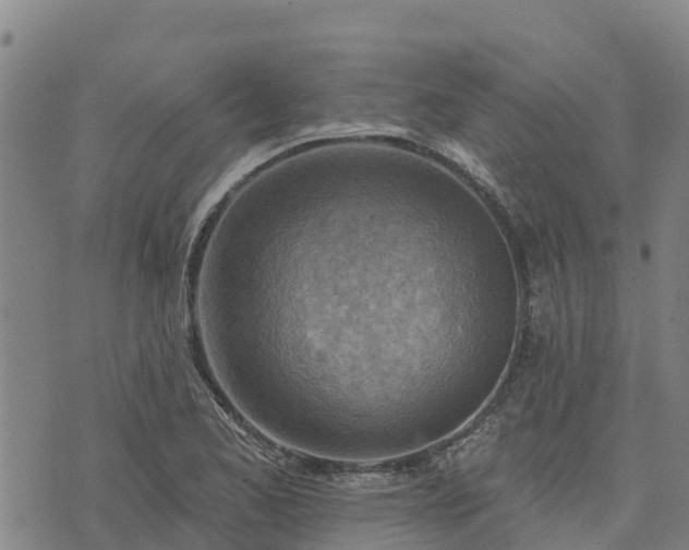 X0000074341173200609011620