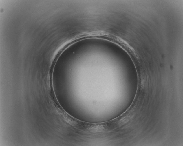 X0000074341174200609011620